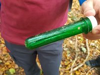 Zloty Lisc 2021 (36)